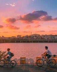 99久久人妻精品免费一区-平台的灰色地带，99久久人妻精品免费一区的现实与隐忧